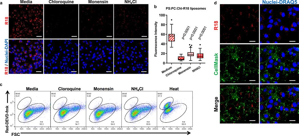 https://cdn.ncbi.nlm.nih.gov/pmc/blobs/b5dd/7483988/c9b090029bb4/nihms-1593998-f0006.jpg
