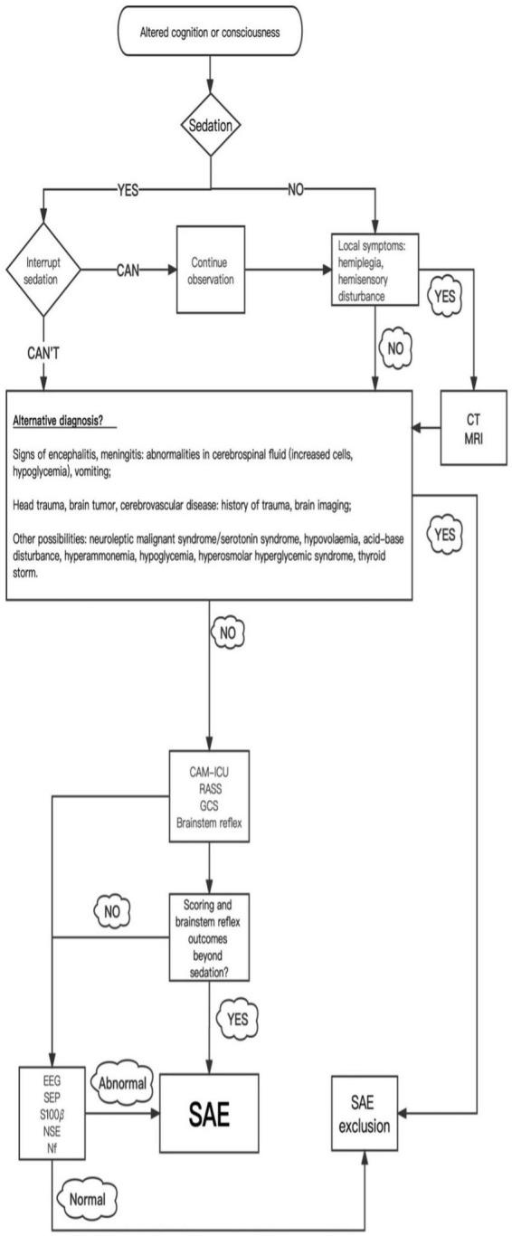 https://cdn.ncbi.nlm.nih.gov/pmc/blobs/b5df/10060640/8d3cea77ced8/fnins-17-1125888-g001.jpg