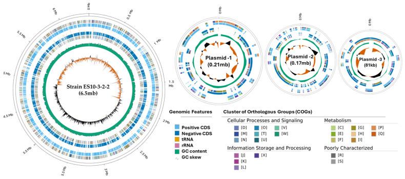 https://cdn.ncbi.nlm.nih.gov/pmc/blobs/b5df/11354047/5e3845fcc6ec/genes-15-01048-g002.jpg