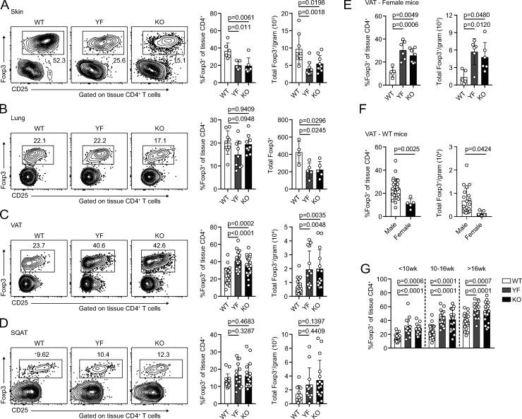 https://cdn.ncbi.nlm.nih.gov/pmc/blobs/b5e0/8065270/612500d52d00/JEM_20201142_Fig2.jpg