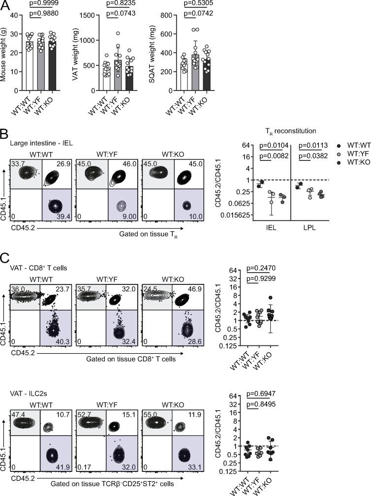 https://cdn.ncbi.nlm.nih.gov/pmc/blobs/b5e0/8065270/c83ea540889e/JEM_20201142_FigS4.jpg