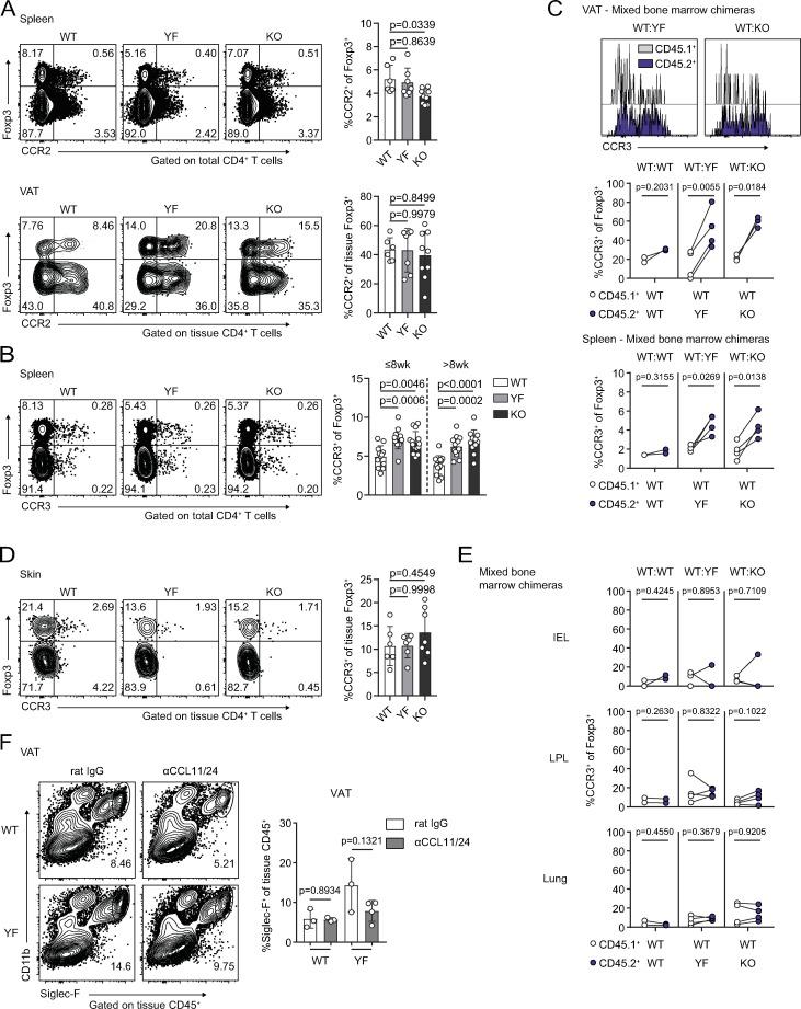 https://cdn.ncbi.nlm.nih.gov/pmc/blobs/b5e0/8065270/cb1ba82ca97f/JEM_20201142_FigS5.jpg