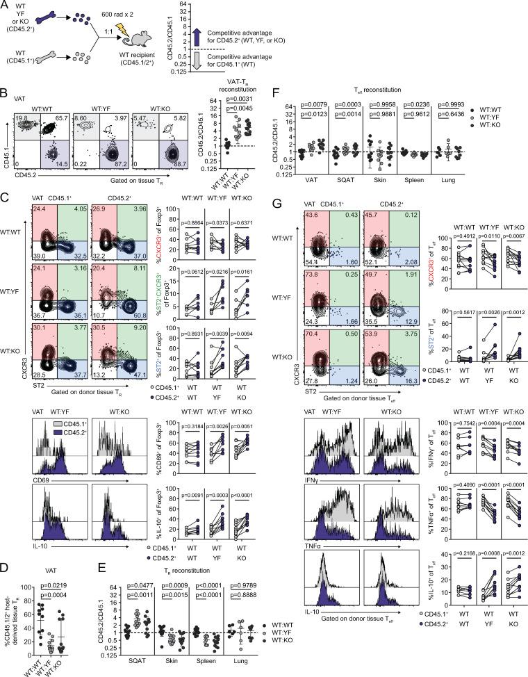 https://cdn.ncbi.nlm.nih.gov/pmc/blobs/b5e0/8065270/cd815f48ccc6/JEM_20201142_Fig6.jpg