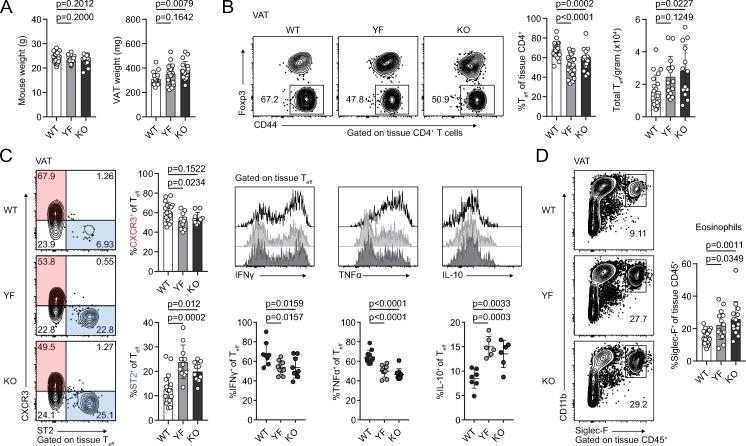 https://cdn.ncbi.nlm.nih.gov/pmc/blobs/b5e0/8065270/d6530b7c49dd/JEM_20201142_Fig4.jpg