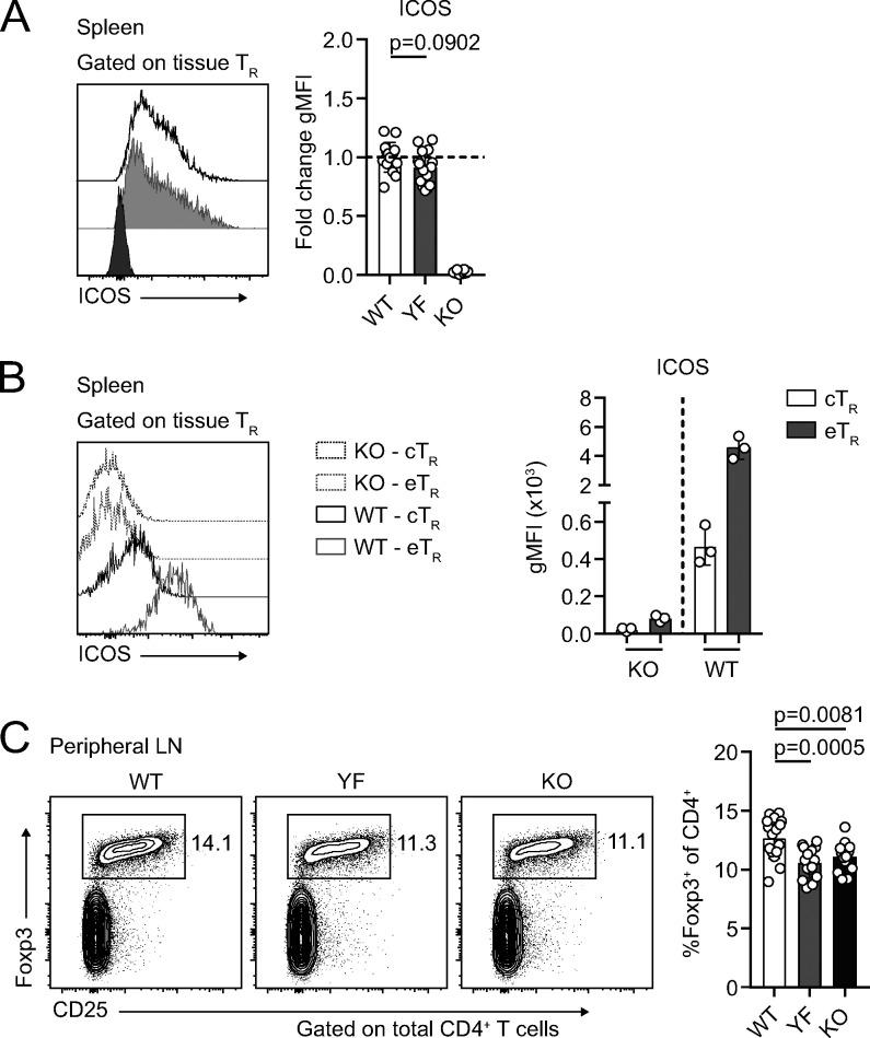 https://cdn.ncbi.nlm.nih.gov/pmc/blobs/b5e0/8065270/ed70e6fe8889/JEM_20201142_FigS1.jpg