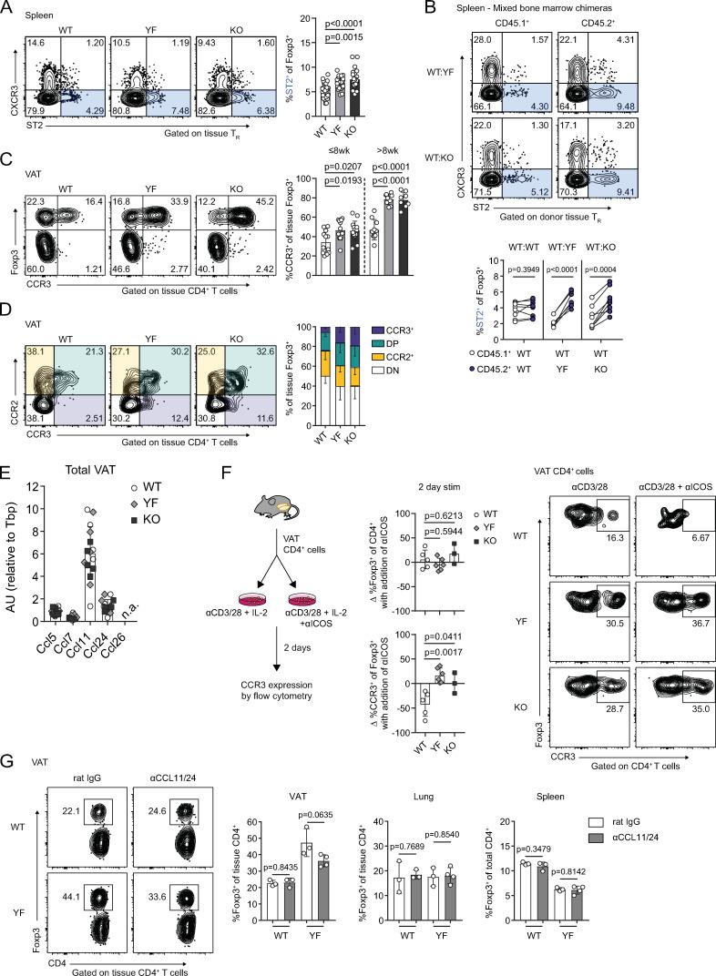 https://cdn.ncbi.nlm.nih.gov/pmc/blobs/b5e0/8065270/f5935244ee52/JEM_20201142_Fig8.jpg