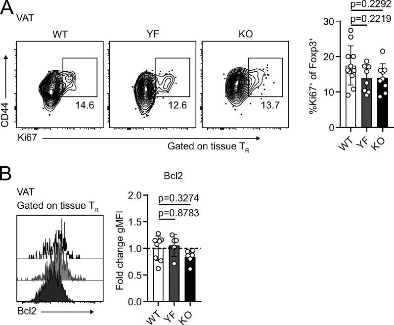 https://cdn.ncbi.nlm.nih.gov/pmc/blobs/b5e0/8065270/f64a79c9f5f4/JEM_20201142_Fig7.jpg