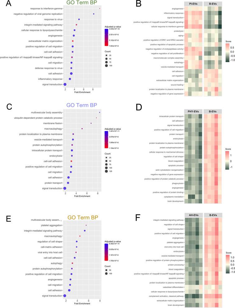 https://cdn.ncbi.nlm.nih.gov/pmc/blobs/b5e1/10386225/d5fb07ef947f/13287_2023_3413_Fig5_HTML.jpg