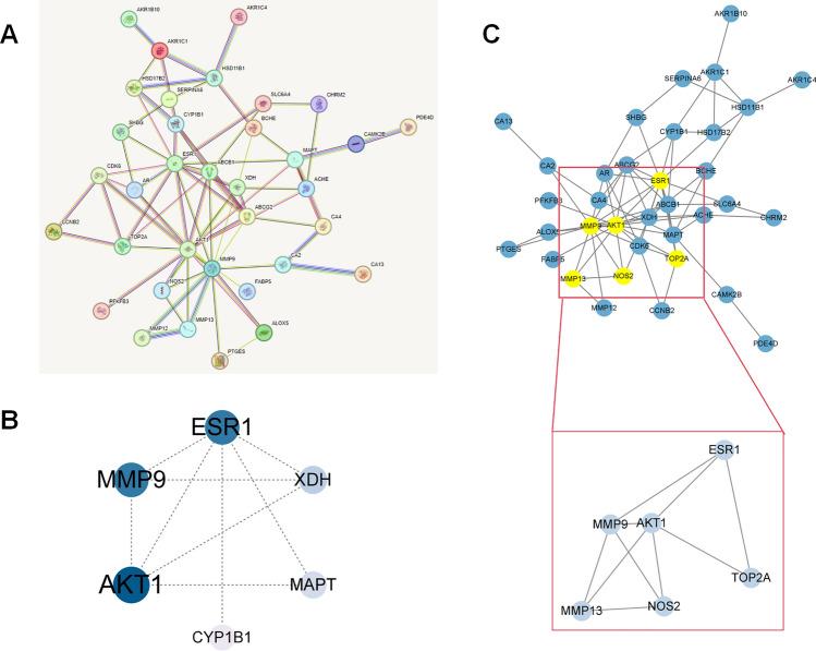 https://cdn.ncbi.nlm.nih.gov/pmc/blobs/b5e1/12069211/84cf159a8150/12672_2025_2563_Fig6_HTML.jpg