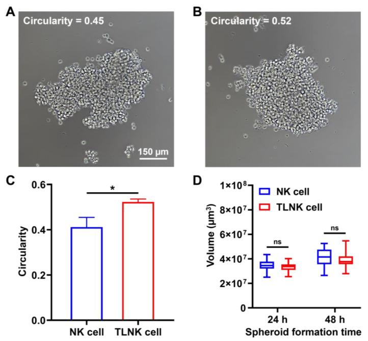 https://cdn.ncbi.nlm.nih.gov/pmc/blobs/b5e2/10855780/0792b2061364/ijms-25-01556-g005.jpg
