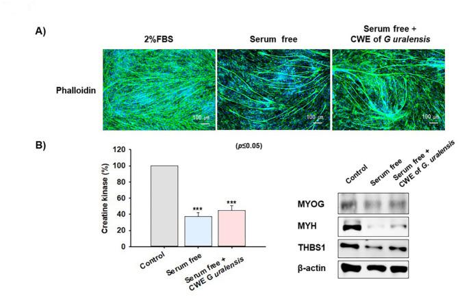 https://cdn.ncbi.nlm.nih.gov/pmc/blobs/b5e2/12022269/12941b59ed77/41598_2025_98386_Fig3_HTML.jpg