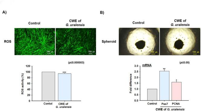 https://cdn.ncbi.nlm.nih.gov/pmc/blobs/b5e2/12022269/d83a1b622990/41598_2025_98386_Fig4_HTML.jpg