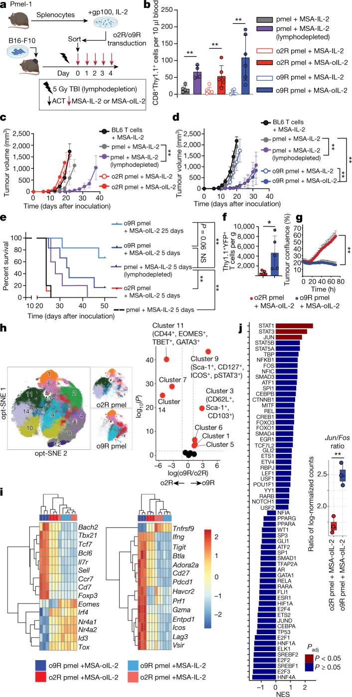 https://cdn.ncbi.nlm.nih.gov/pmc/blobs/b5e2/9666271/027353acc9c9/41586_2022_4801_Fig2_HTML.jpg