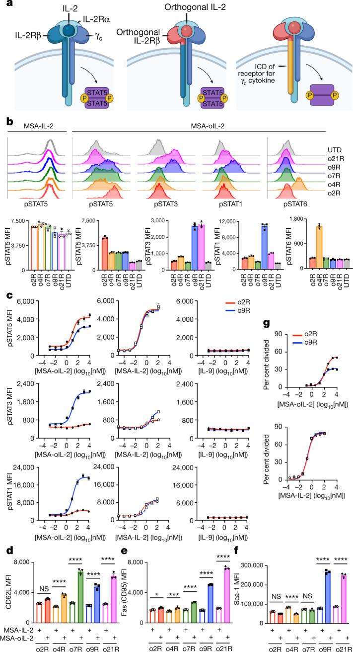 https://cdn.ncbi.nlm.nih.gov/pmc/blobs/b5e2/9666271/0e7fda25defb/41586_2022_4801_Fig1_HTML.jpg