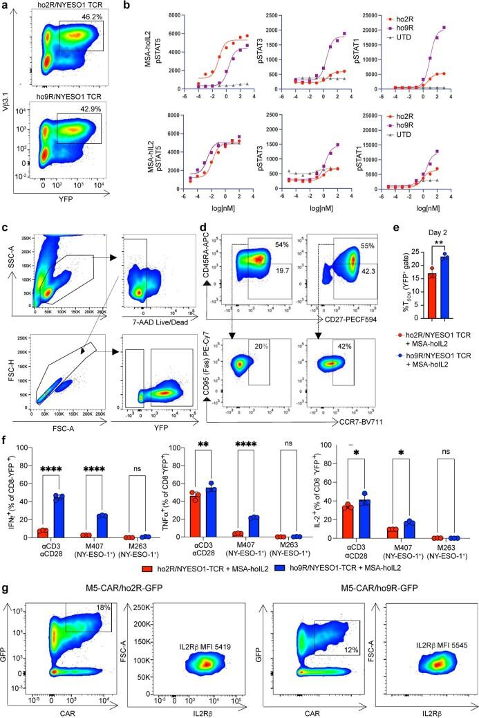 https://cdn.ncbi.nlm.nih.gov/pmc/blobs/b5e2/9666271/6c4de4daf596/41586_2022_4801_Fig14_ESM.jpg