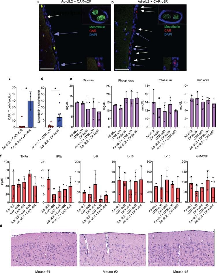 https://cdn.ncbi.nlm.nih.gov/pmc/blobs/b5e2/9666271/d1d2dfec4e15/41586_2022_4801_Fig12_ESM.jpg