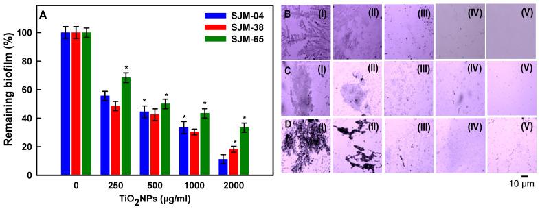 https://cdn.ncbi.nlm.nih.gov/pmc/blobs/b5e3/8540964/785fabc1883d/pharmaceutics-13-01564-g006.jpg