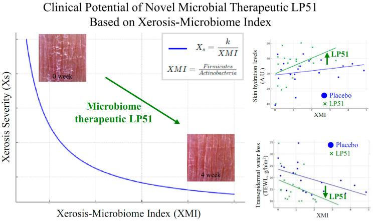 https://cdn.ncbi.nlm.nih.gov/pmc/blobs/b5e6/11639849/129bda9831c8/cells-13-02029-g007.jpg