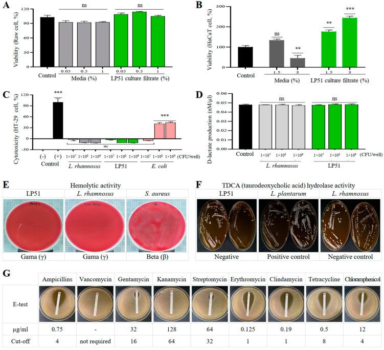 https://cdn.ncbi.nlm.nih.gov/pmc/blobs/b5e6/11639849/146c1d0290f5/cells-13-02029-g006.jpg
