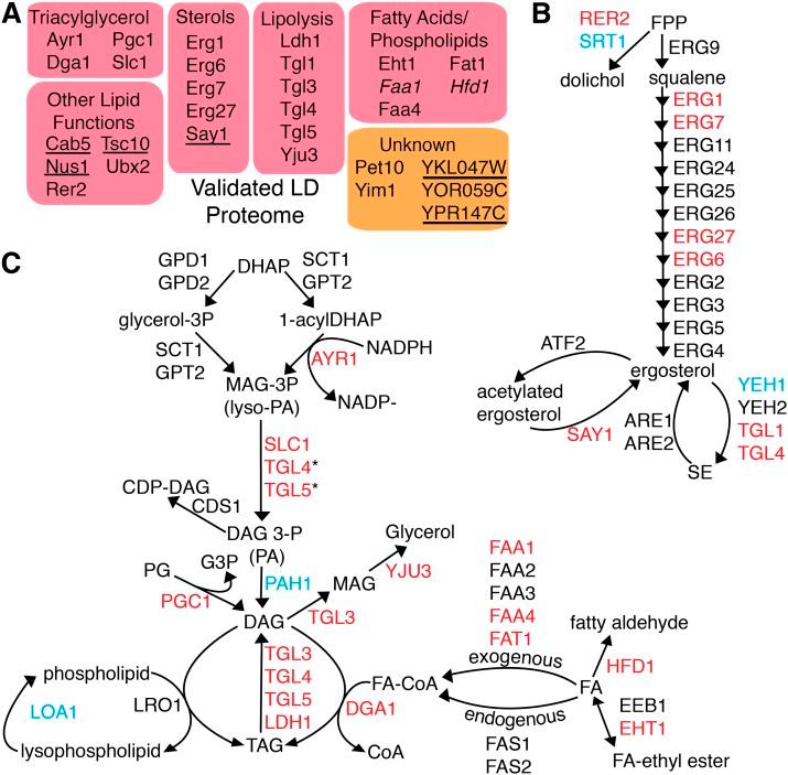 https://cdn.ncbi.nlm.nih.gov/pmc/blobs/b5e6/4076087/29aeff9f593e/1465fig4.jpg