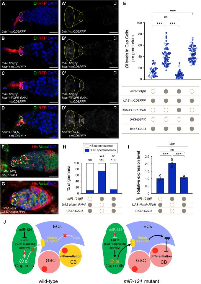 https://cdn.ncbi.nlm.nih.gov/pmc/blobs/b5ea/10986965/62be5ee8fca6/pbio.3002515.g006.jpg