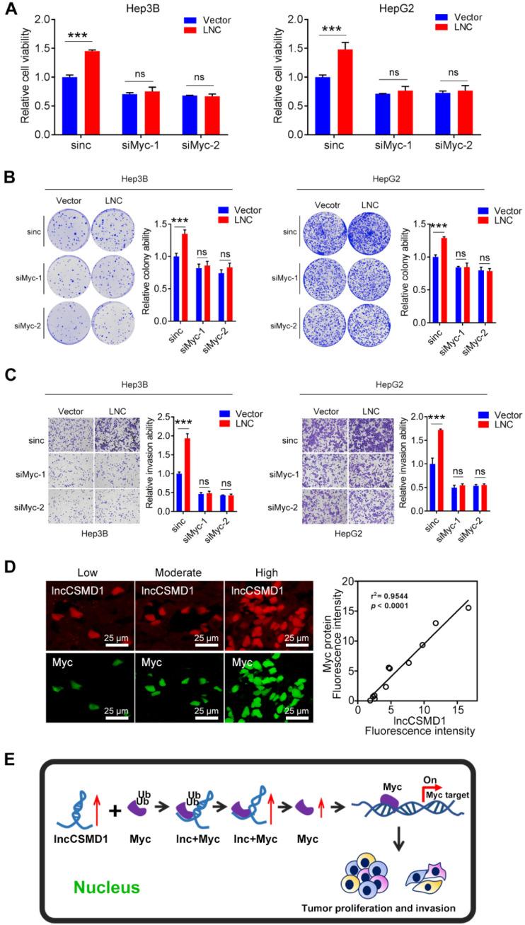 https://cdn.ncbi.nlm.nih.gov/pmc/blobs/b5ea/7359090/31d262b0d7c6/thnov10p7527g007.jpg