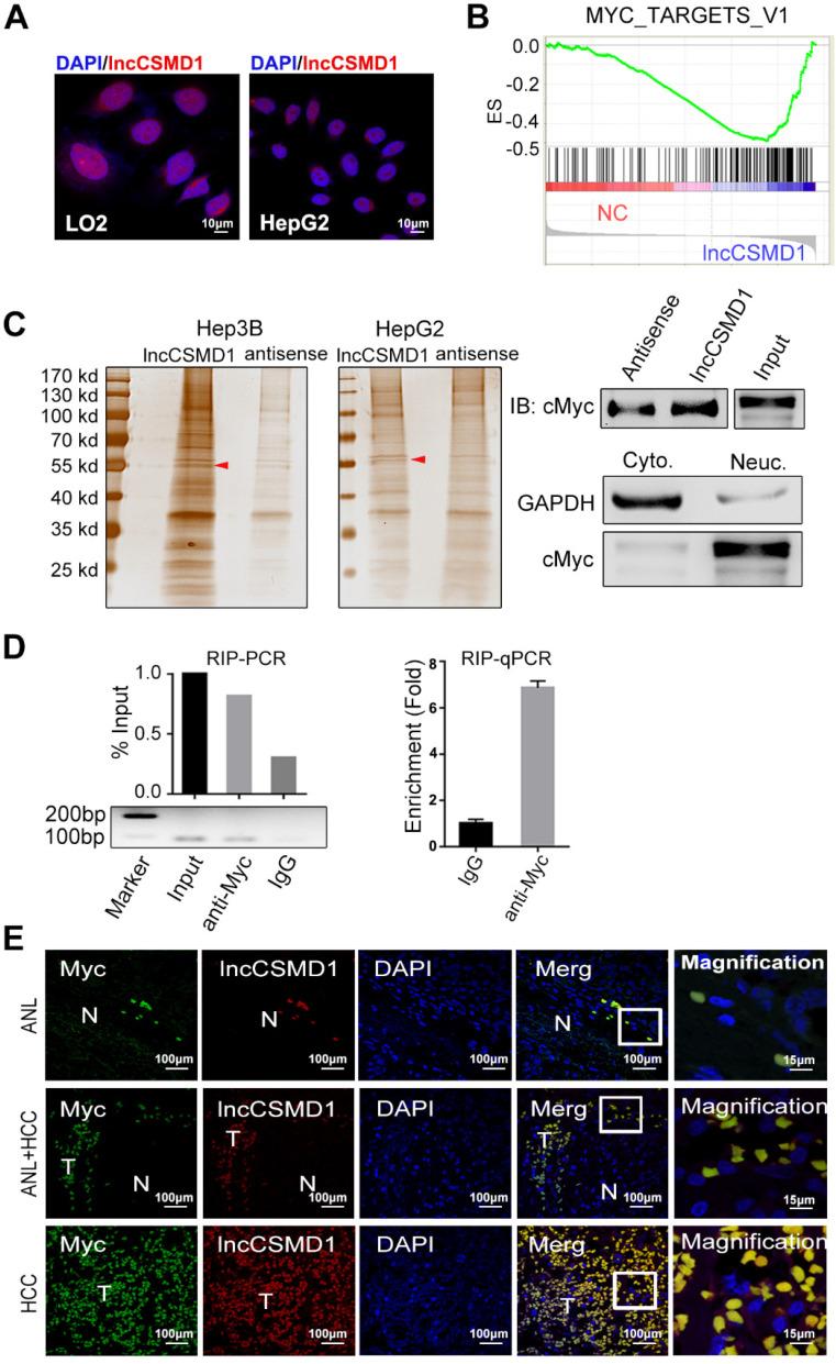 https://cdn.ncbi.nlm.nih.gov/pmc/blobs/b5ea/7359090/680441b59163/thnov10p7527g004.jpg