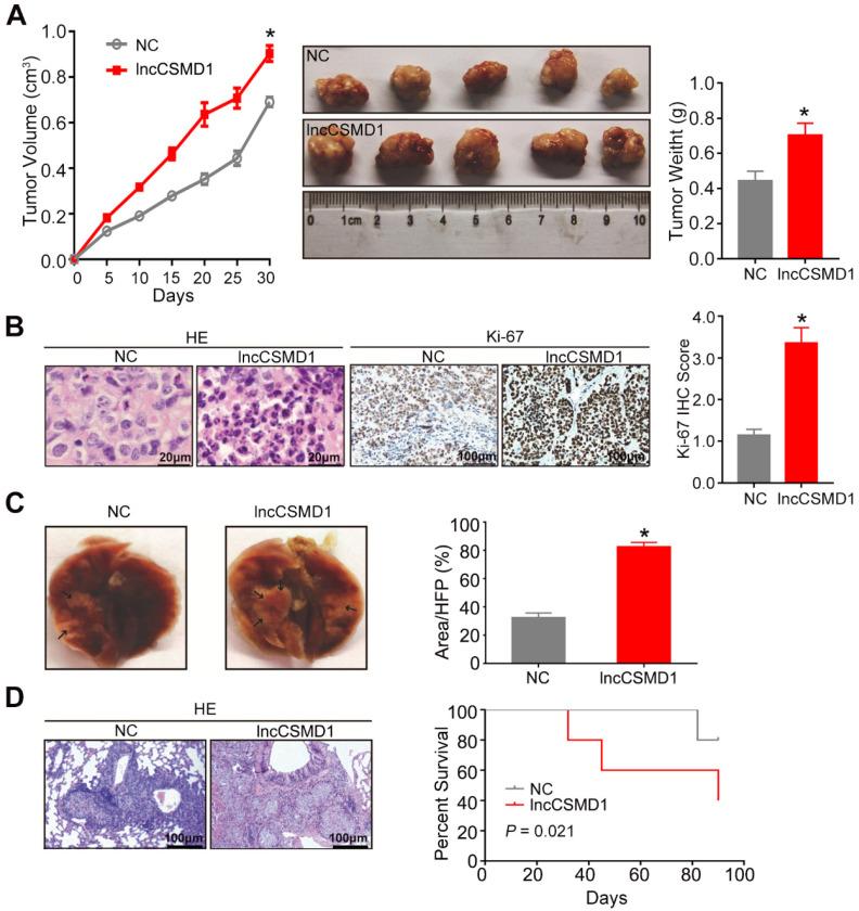 https://cdn.ncbi.nlm.nih.gov/pmc/blobs/b5ea/7359090/a8eb8684c92b/thnov10p7527g003.jpg