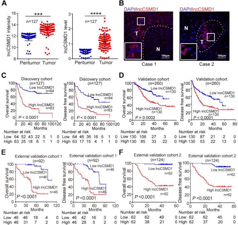 https://cdn.ncbi.nlm.nih.gov/pmc/blobs/b5ea/7359090/cf59278d2281/thnov10p7527g001.jpg