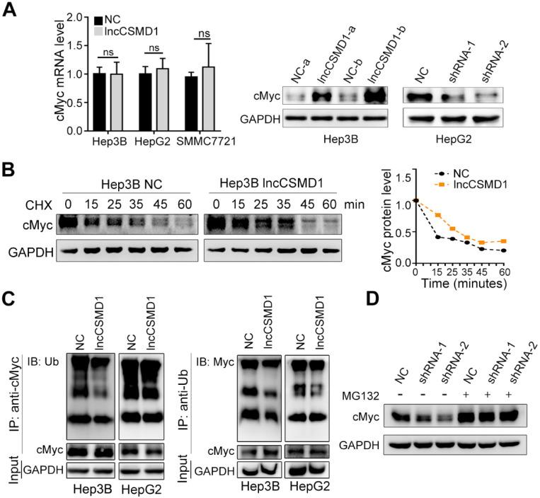 https://cdn.ncbi.nlm.nih.gov/pmc/blobs/b5ea/7359090/d54ffc79720b/thnov10p7527g005.jpg
