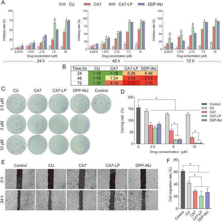 https://cdn.ncbi.nlm.nih.gov/pmc/blobs/b5eb/11651071/2349af3a82db/IJN-19-13411-g0005.jpg
