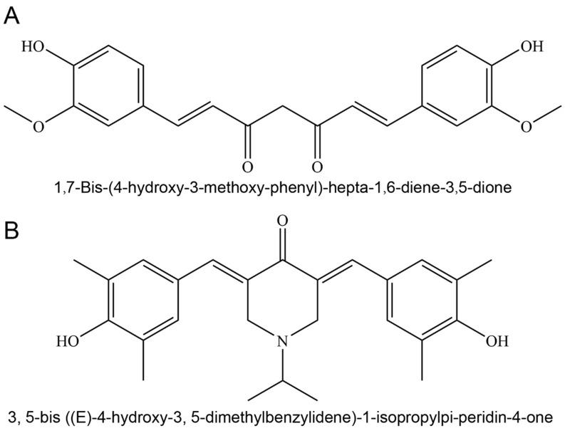https://cdn.ncbi.nlm.nih.gov/pmc/blobs/b5eb/11651071/9fa02c75c31c/IJN-19-13411-g0002.jpg