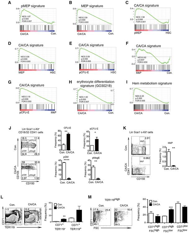 https://cdn.ncbi.nlm.nih.gov/pmc/blobs/b5eb/6945759/60608d7e46b8/nihms-1065548-f0006.jpg