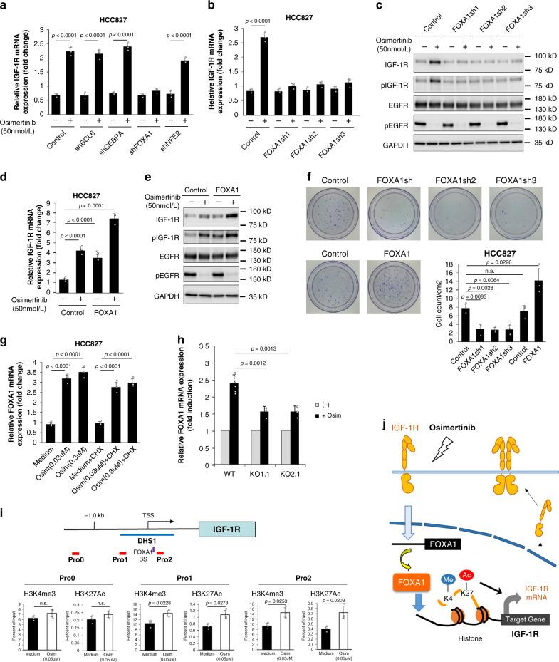 https://cdn.ncbi.nlm.nih.gov/pmc/blobs/b5eb/7490421/91233088f21e/41467_2020_18442_Fig3_HTML.jpg