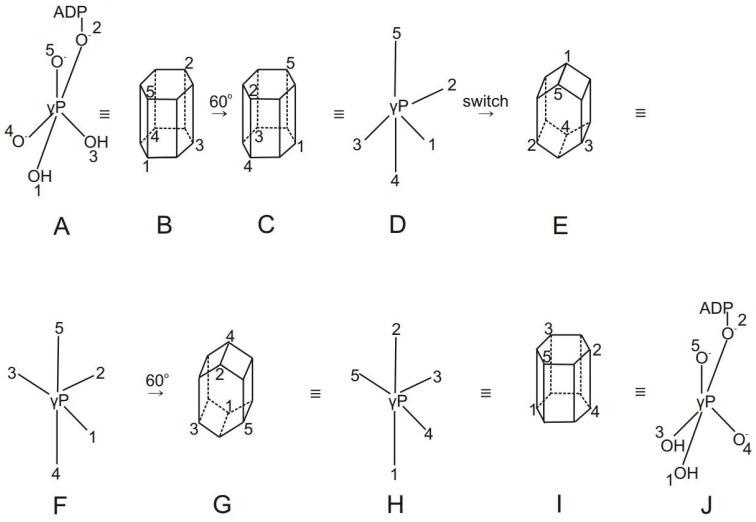 https://cdn.ncbi.nlm.nih.gov/pmc/blobs/b5ed/10673332/0e8f7885d9be/molecules-28-07486-g006.jpg