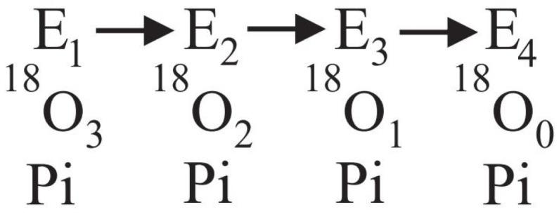 https://cdn.ncbi.nlm.nih.gov/pmc/blobs/b5ed/10673332/a69a75b01e74/molecules-28-07486-g001.jpg