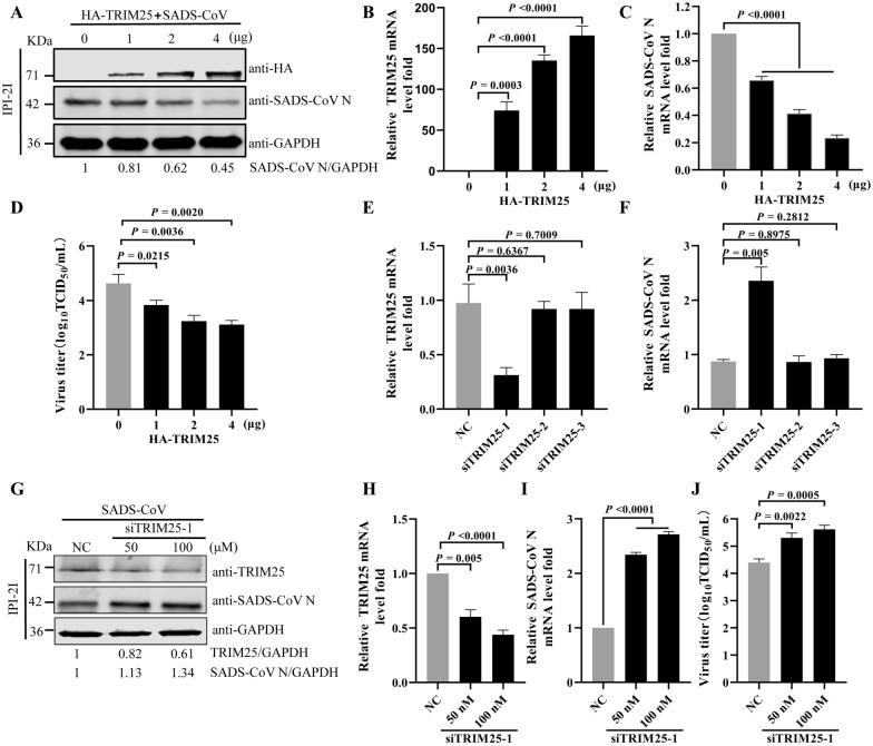 https://cdn.ncbi.nlm.nih.gov/pmc/blobs/b5ed/11000385/751d30777bbb/13567_2024_1303_Fig2_HTML.jpg