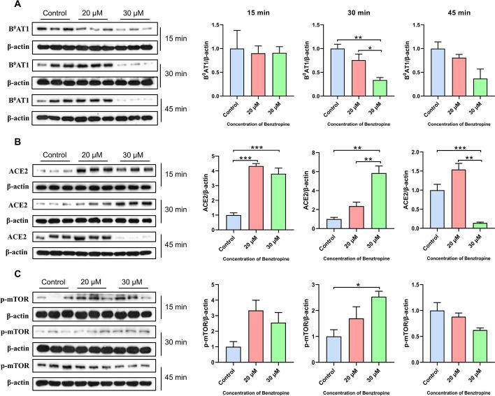 https://cdn.ncbi.nlm.nih.gov/pmc/blobs/b5ed/11179371/30fc43b9f21b/11658_2024_603_Fig4_HTML.jpg