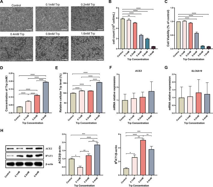 https://cdn.ncbi.nlm.nih.gov/pmc/blobs/b5ed/11179371/cbe5cfbfc86e/11658_2024_603_Fig1_HTML.jpg