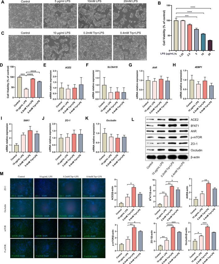 https://cdn.ncbi.nlm.nih.gov/pmc/blobs/b5ed/11179371/da566ee93df7/11658_2024_603_Fig2_HTML.jpg