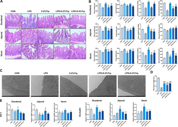 https://cdn.ncbi.nlm.nih.gov/pmc/blobs/b5ed/11179371/fd5f28b95e6d/11658_2024_603_Fig6_HTML.jpg