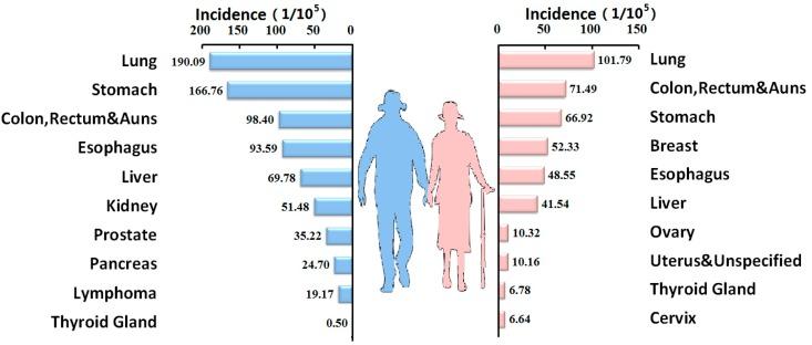 https://cdn.ncbi.nlm.nih.gov/pmc/blobs/b5ed/4626963/4de8fb6deb76/ijerph-12-12196-g002.jpg