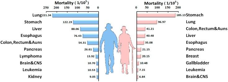 https://cdn.ncbi.nlm.nih.gov/pmc/blobs/b5ed/4626963/f9063ed67879/ijerph-12-12196-g003.jpg