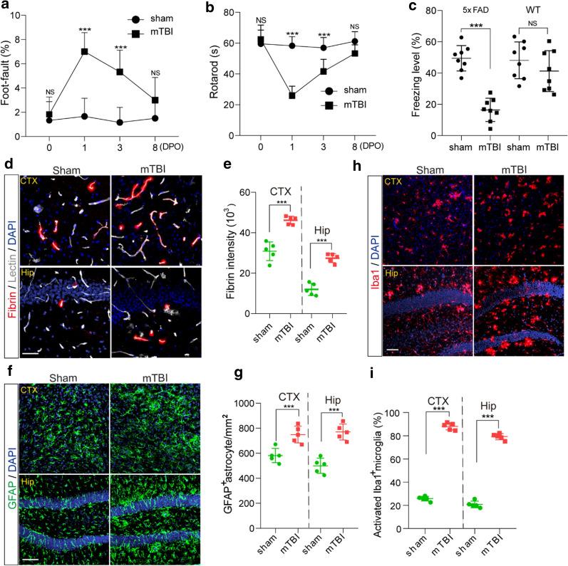 https://cdn.ncbi.nlm.nih.gov/pmc/blobs/b5ed/8063402/6f3c11a42338/40478_2021_1178_Fig5_HTML.jpg