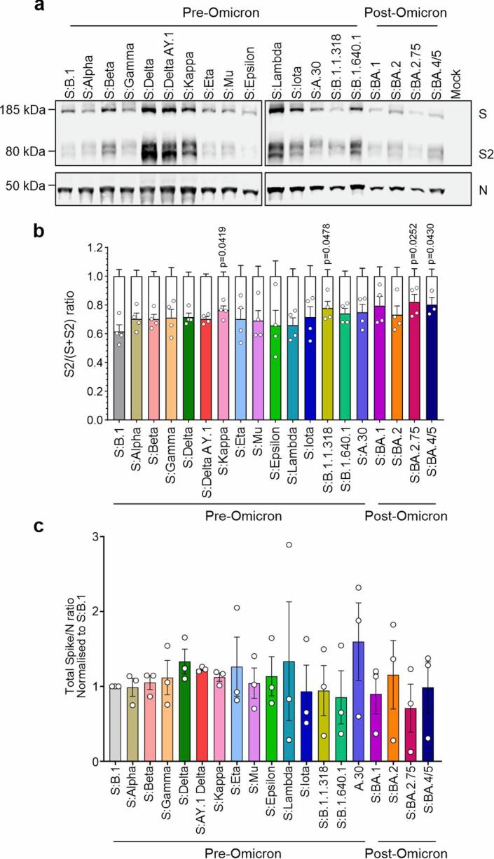 https://cdn.ncbi.nlm.nih.gov/pmc/blobs/b5ee/11726466/154031d0bde1/41564_2024_1878_Fig9_ESM.jpg