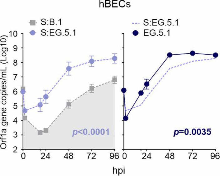 https://cdn.ncbi.nlm.nih.gov/pmc/blobs/b5ee/11726466/5305fbb7eb09/41564_2024_1878_Fig11_ESM.jpg