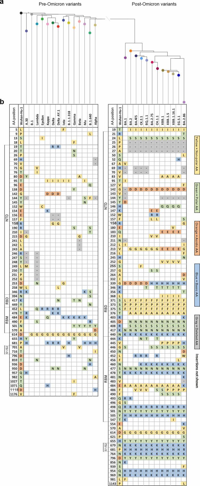 https://cdn.ncbi.nlm.nih.gov/pmc/blobs/b5ee/11726466/98922f366941/41564_2024_1878_Fig7_ESM.jpg