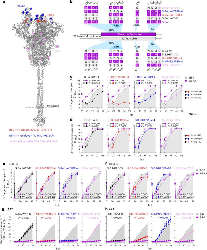 https://cdn.ncbi.nlm.nih.gov/pmc/blobs/b5ee/11726466/a060fa3359b3/41564_2024_1878_Fig5_HTML.jpg