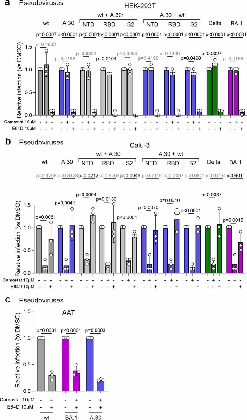 https://cdn.ncbi.nlm.nih.gov/pmc/blobs/b5ee/11726466/b368312a21b1/41564_2024_1878_Fig10_ESM.jpg