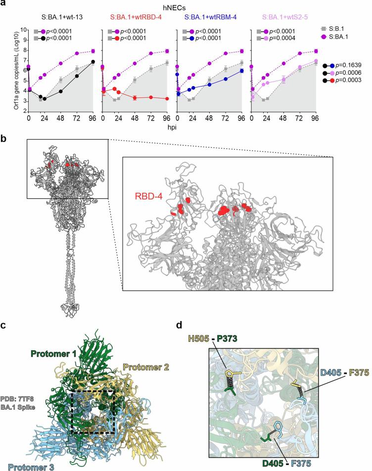 https://cdn.ncbi.nlm.nih.gov/pmc/blobs/b5ee/11726466/c5ad520859e5/41564_2024_1878_Fig15_ESM.jpg